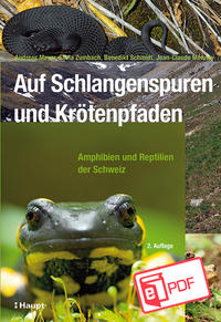 Front Cover Image Auf Schlangenspuren und Krötenpfaden