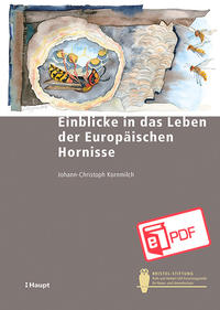 Front Cover Image Einblicke in das Leben der Europäischen Hornisse