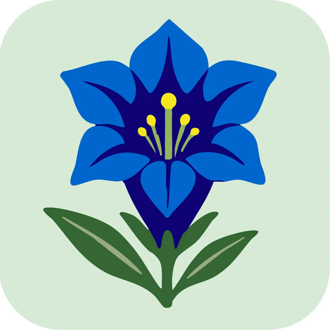 Front Cover Image Flora Helvetica App-Abo (français)