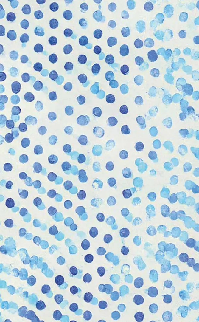 Back Cover Image Plan B