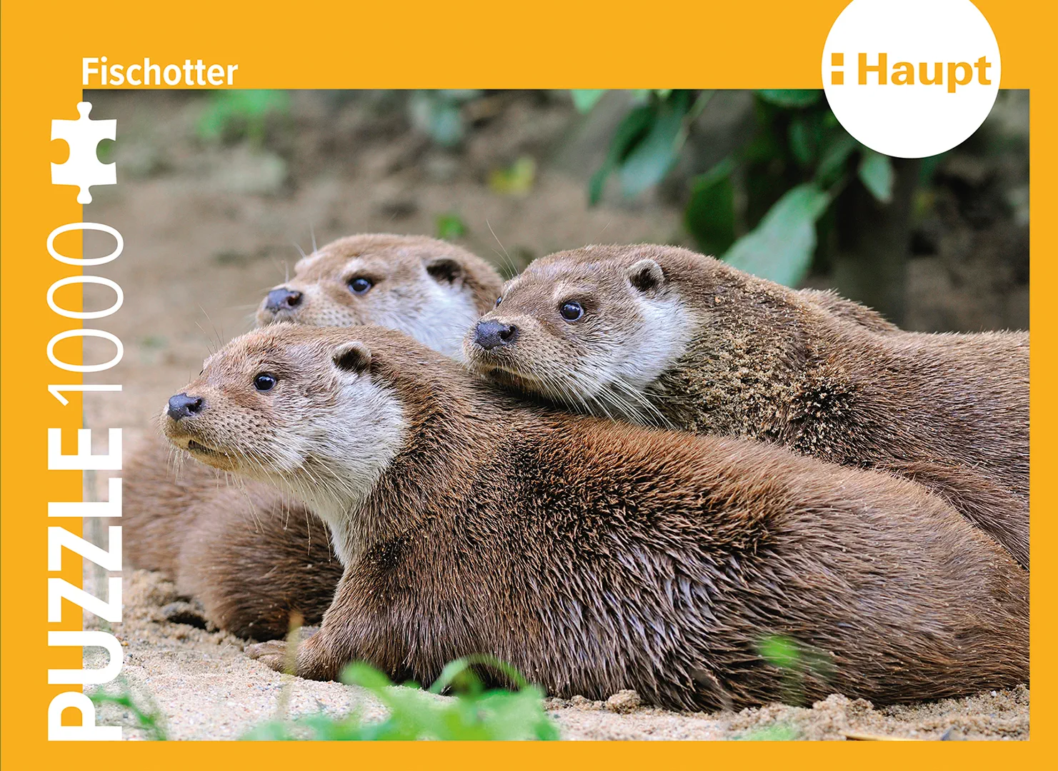 Front Cover Image Fischotter – Puzzle