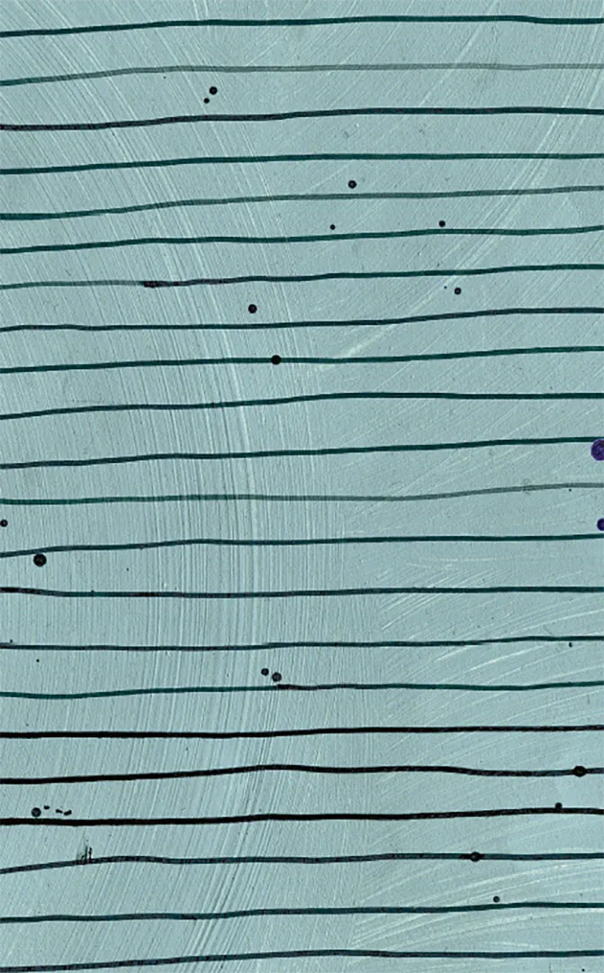 Back Cover Image Plan B 2027