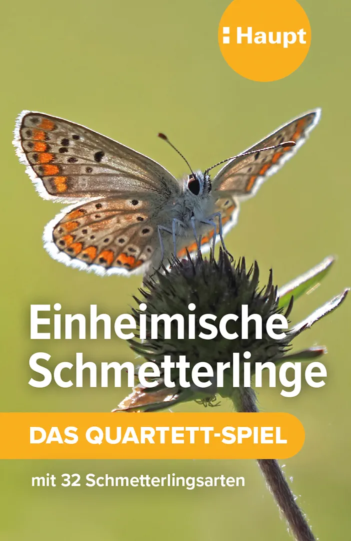 Front Cover Image Einheimische Schmetterlinge – das Quartett-Spiel