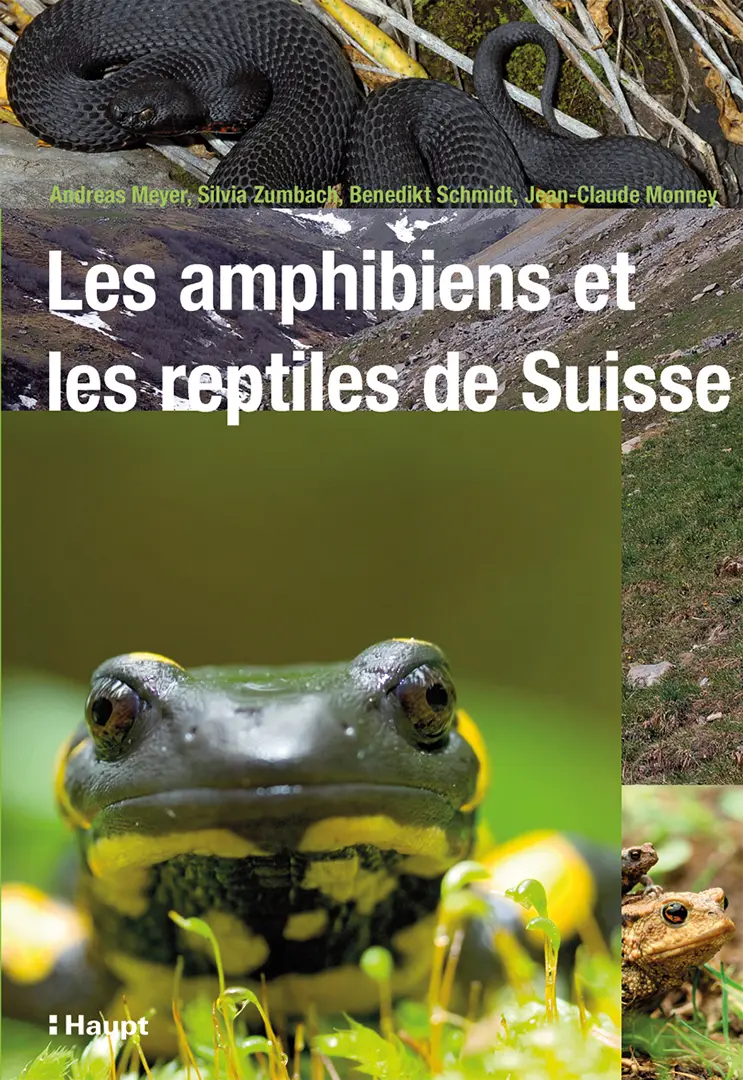 Front Cover Image Les amphibiens et les reptiles de Suisse