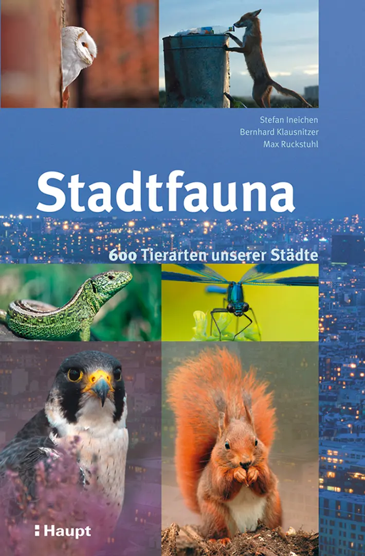 Front Cover Image Stadtfauna