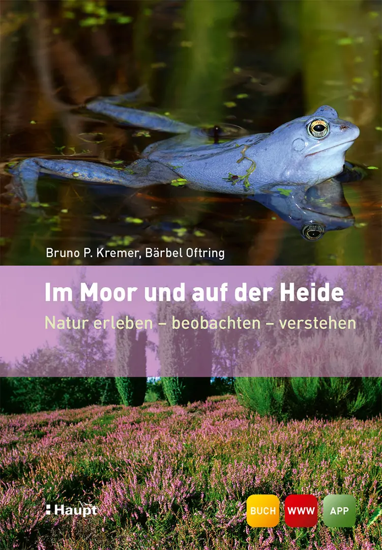 Front Cover Image Im Moor und auf der Heide