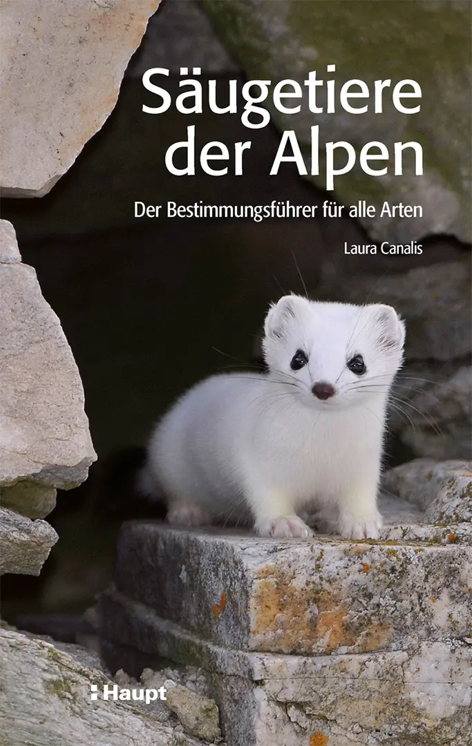 Front Cover Image Säugetiere der Alpen