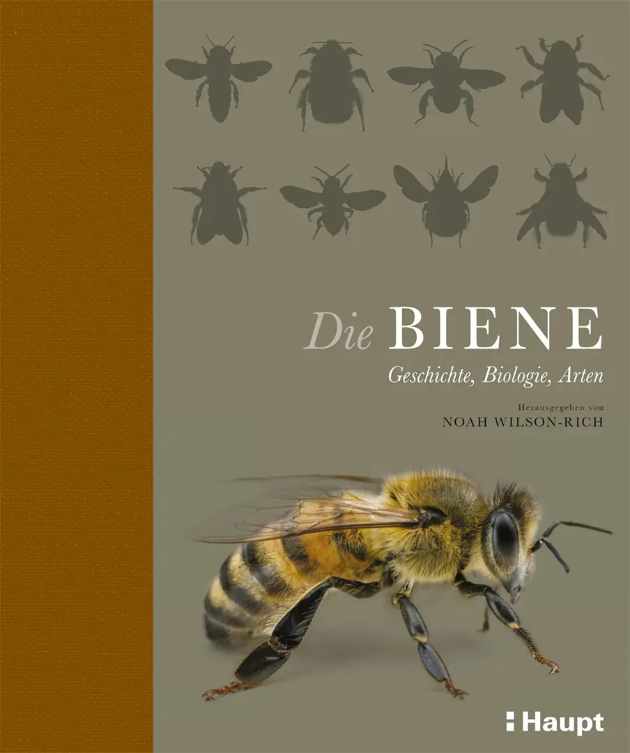 Front Cover Image Die Biene