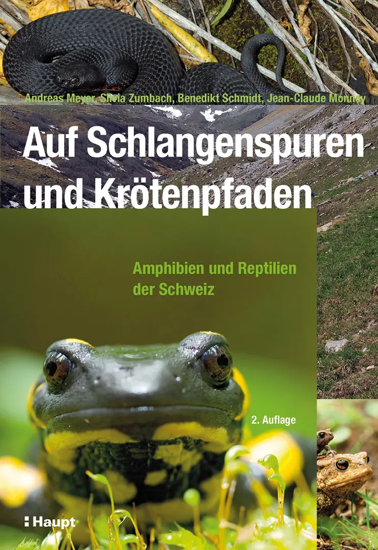 Front Cover Image Auf Schlangenspuren und Krötenpfaden
