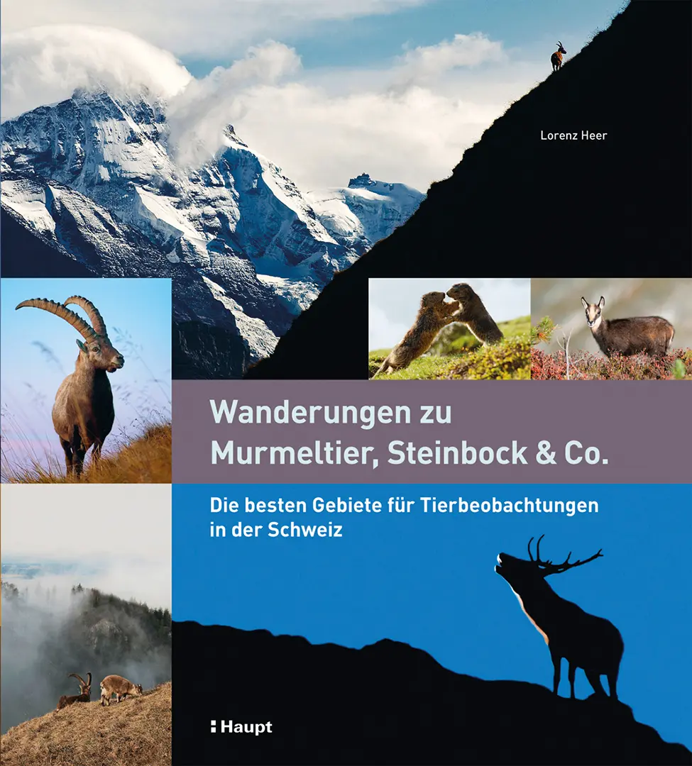 Front Cover Image Wanderungen zu Murmeltier, Steinbock & Co.