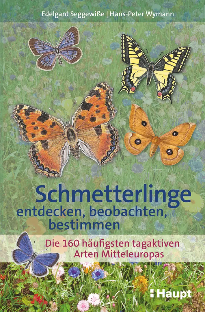 Front Cover Image Schmetterlinge entdecken, beobachten, bestimmen