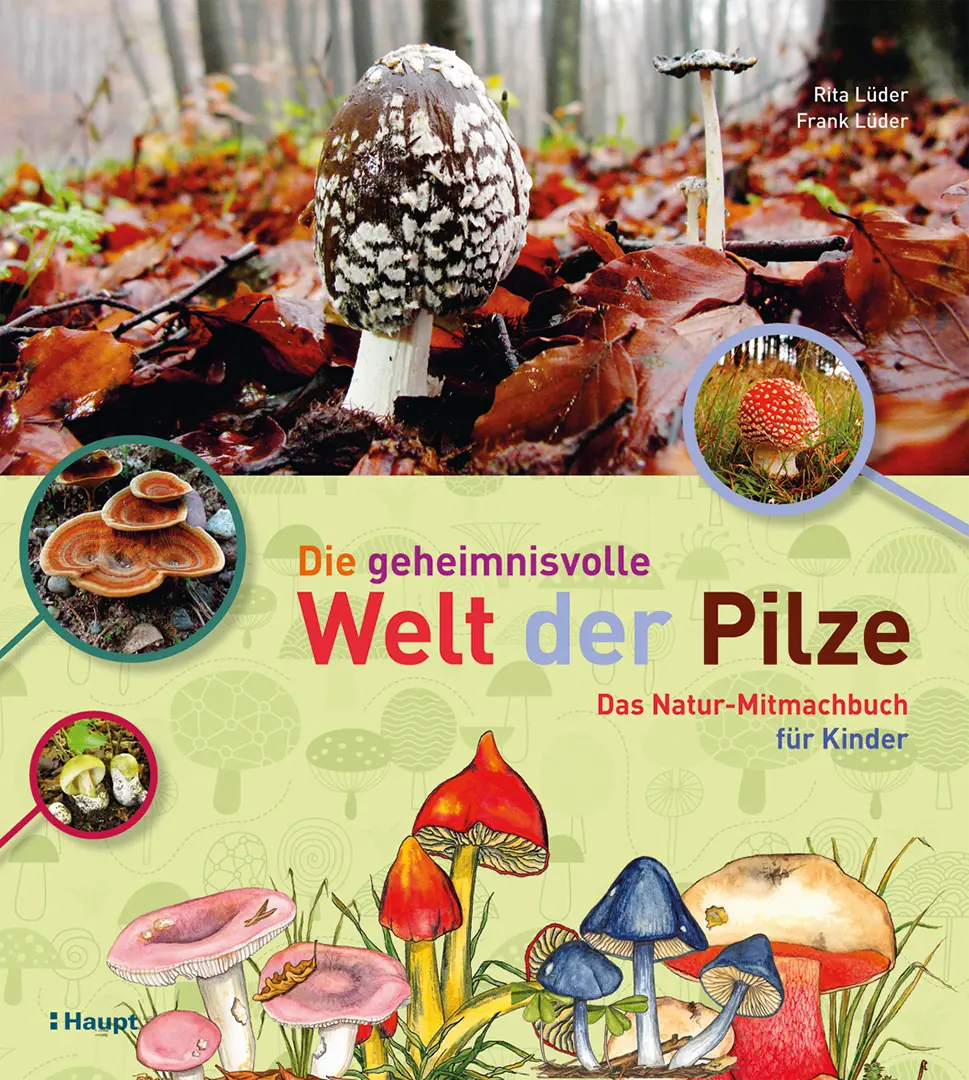 Front Cover Image Die geheimnisvolle Welt der Pilze