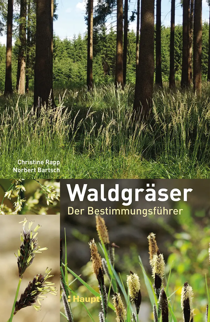 Front Cover Image Waldgräser
