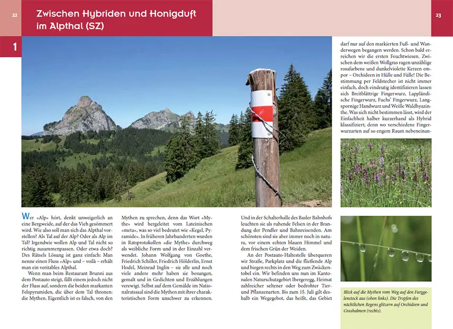 Sample Content (Image) Orchideenwanderungen