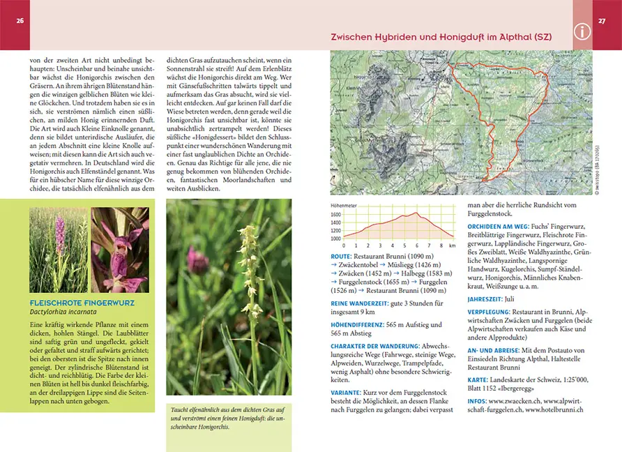 Sample Content (Image) Orchideenwanderungen