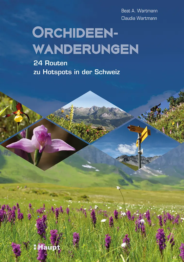Front Cover Image Orchideenwanderungen