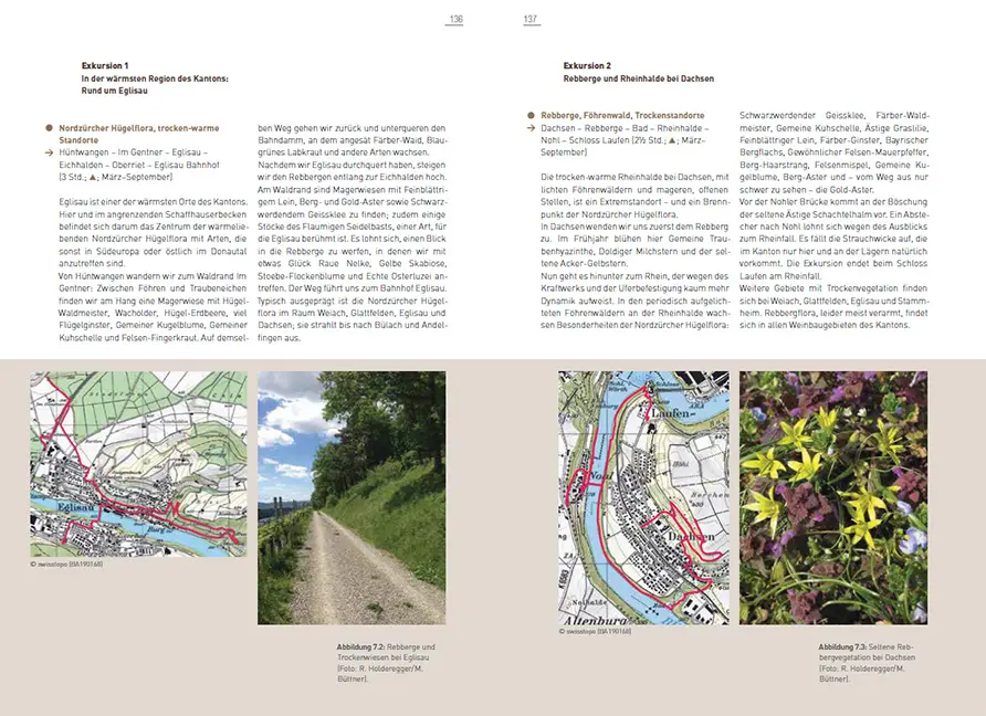 Sample Content (Image) Flora des Kantons Zürich