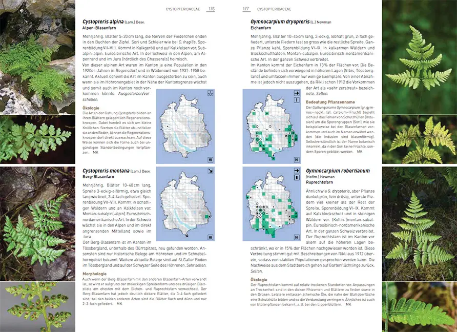 Sample Content (Image) Flora des Kantons Zürich