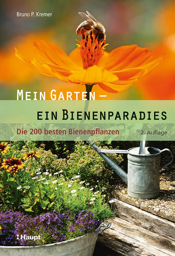 Front Cover Image Mein Garten - ein Bienenparadies