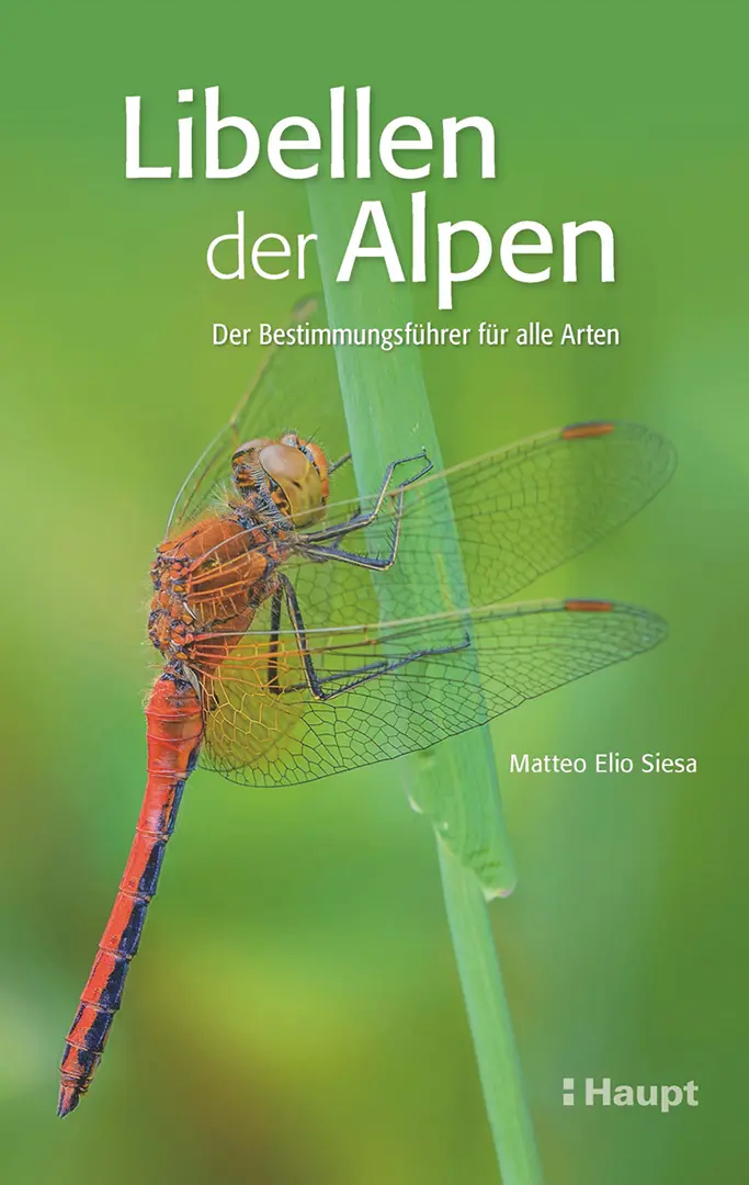 Front Cover Image Libellen der Alpen