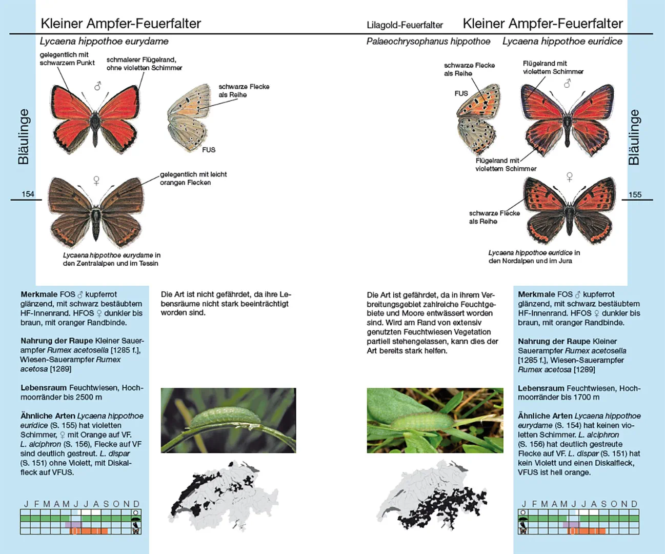 Sample Content (Image) Schmetterlinge