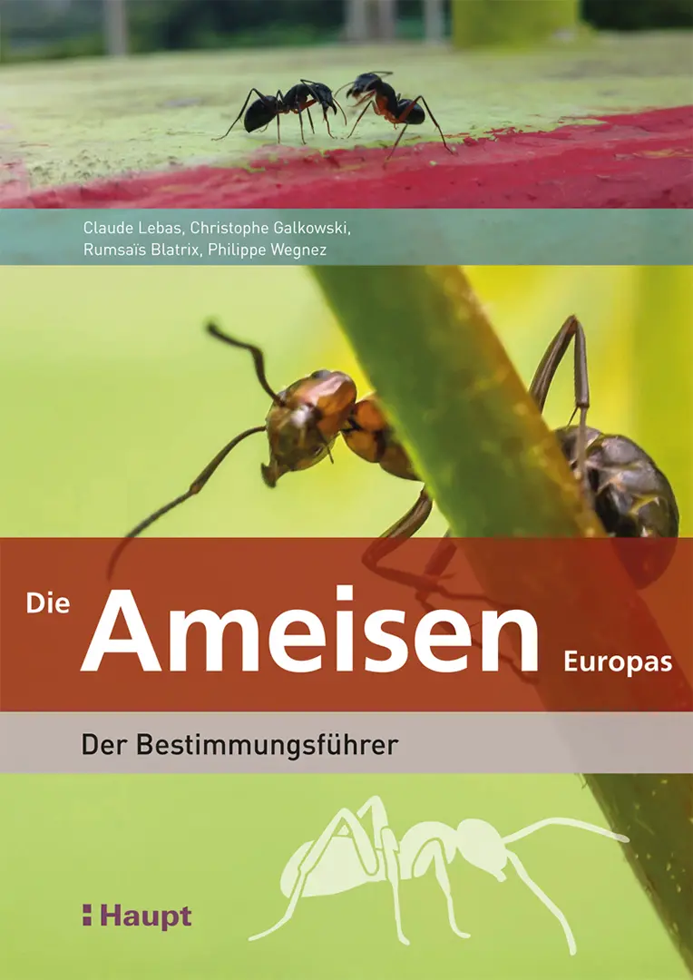 Front Cover Image Die Ameisen Europas