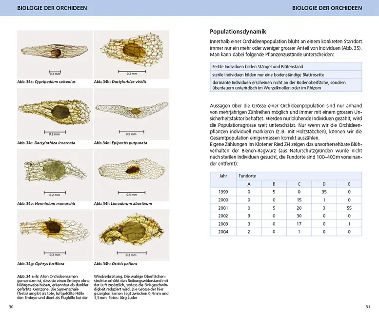 Sample Content (Image) Die Orchideen der Schweiz