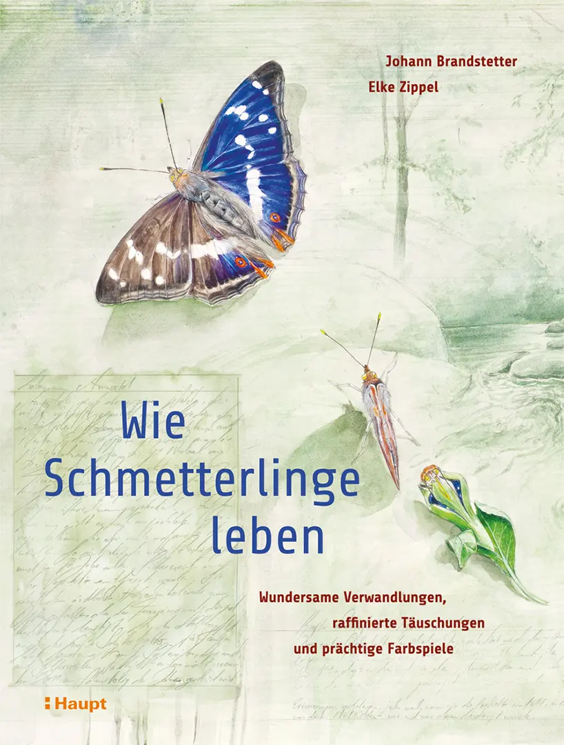 Front Cover Image Wie Schmetterlinge leben