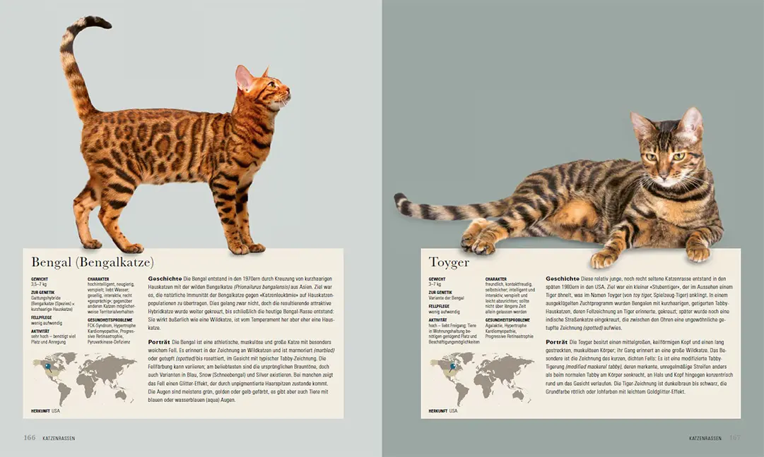 Sample Content (Image) Die Katze