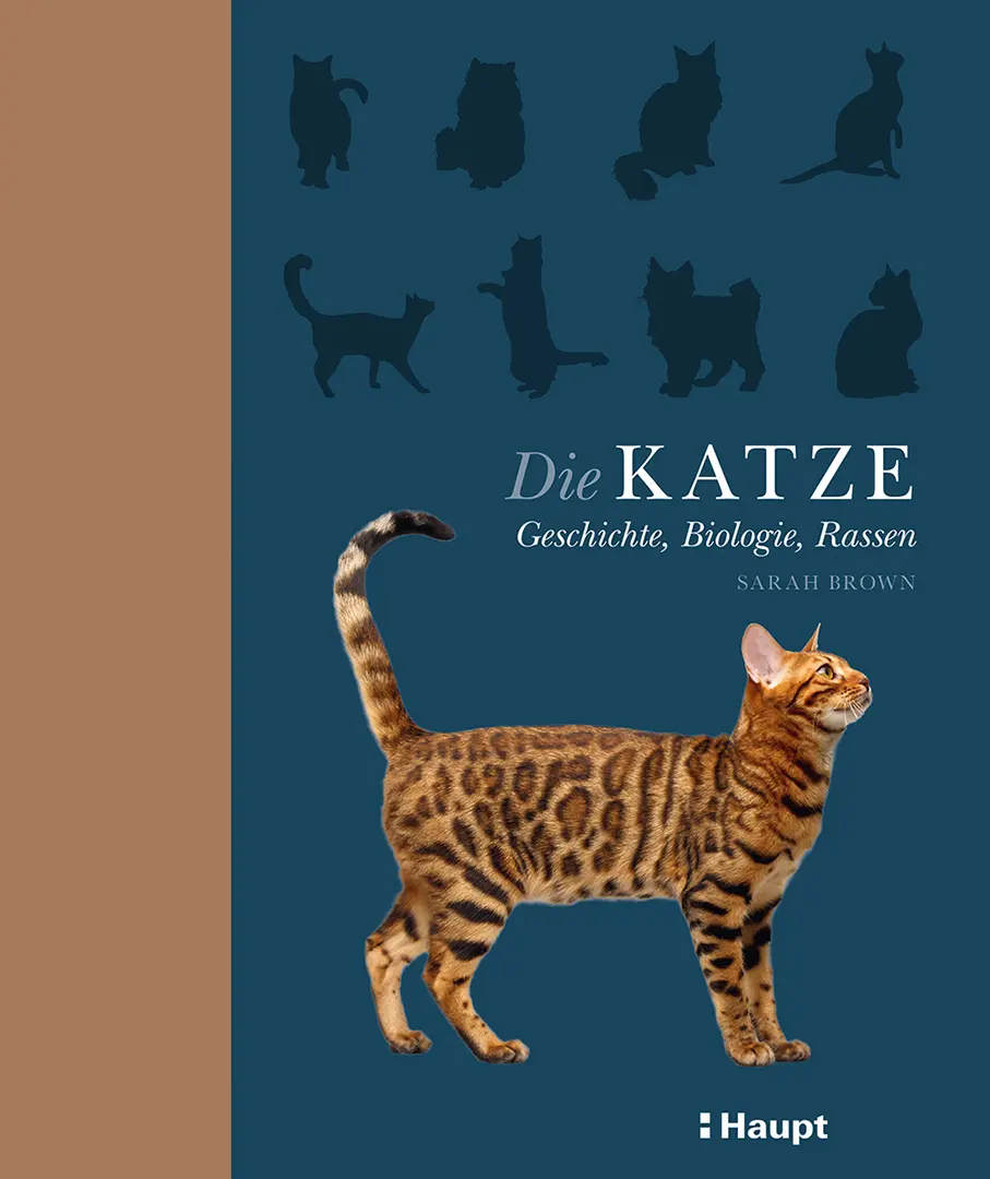 Front Cover Image Die Katze