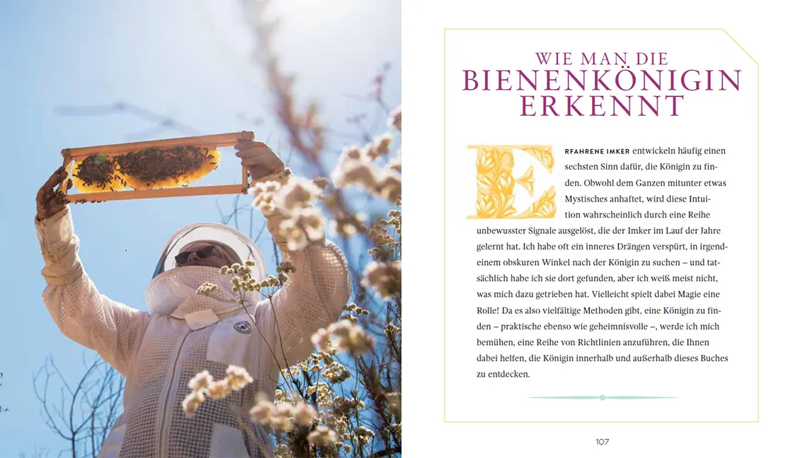 Sample Content (Image) Die Bienenkönigin