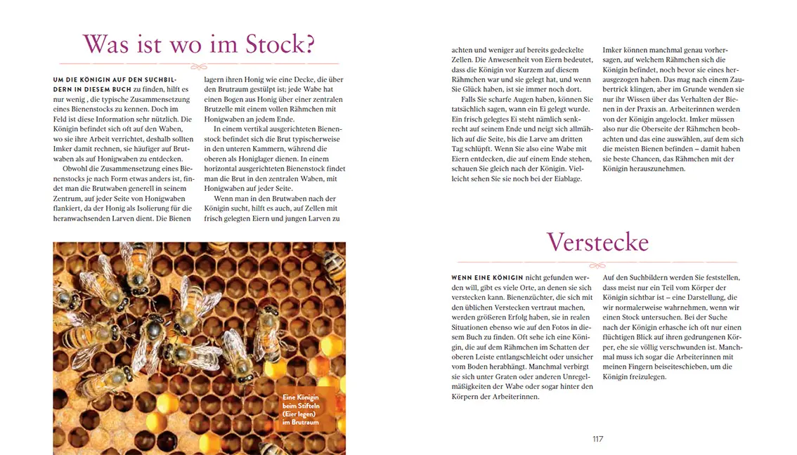 Sample Content (Image) Die Bienenkönigin