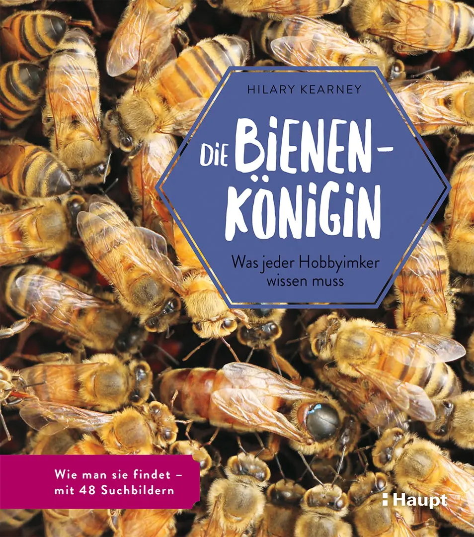 Front Cover Image Die Bienenkönigin