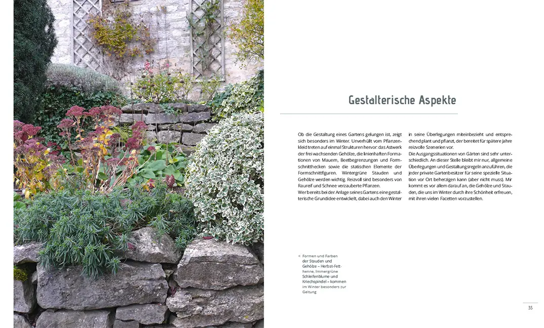 Sample Content (Image) Mein Garten im Winter