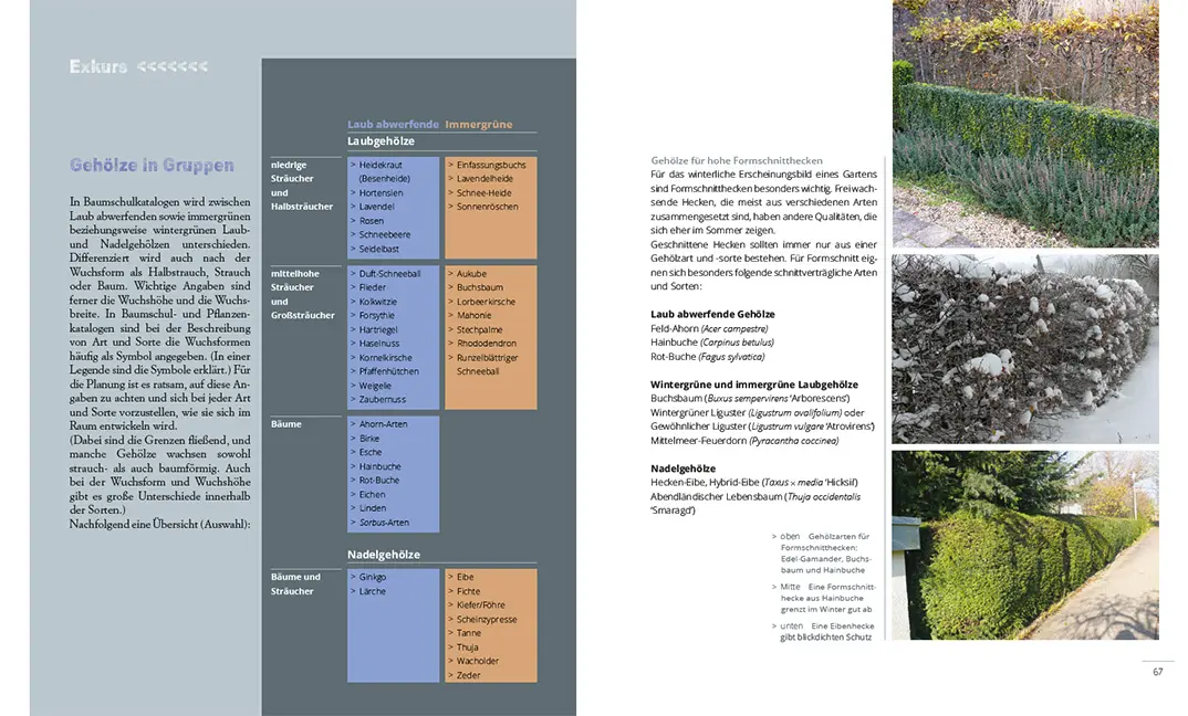 Sample Content (Image) Mein Garten im Winter