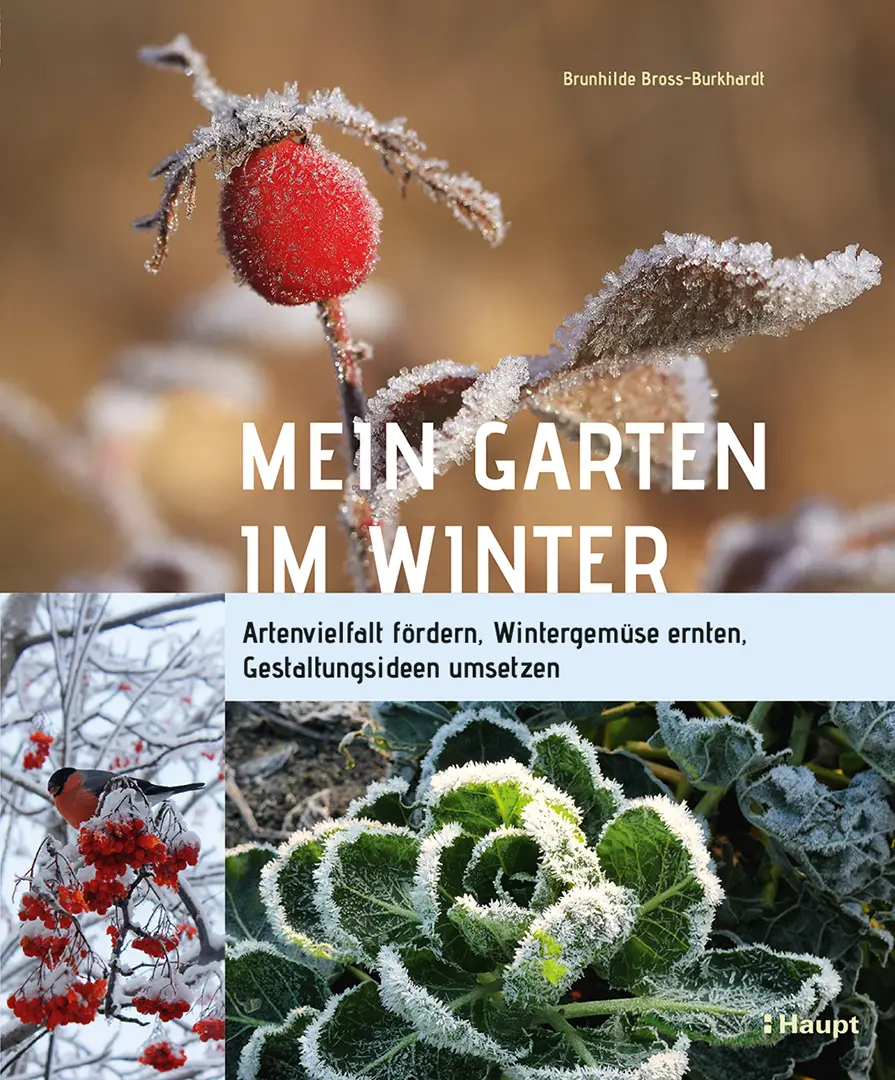 Front Cover Image Mein Garten im Winter