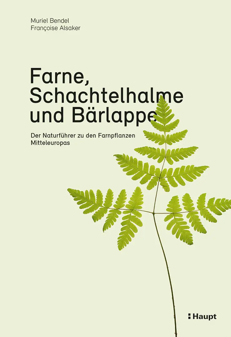 Front Cover Image Farne, Schachtelhalme und Bärlappe