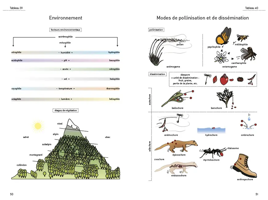 Sample Content (Image) Le glossaire illustré pour la botanique de terrain