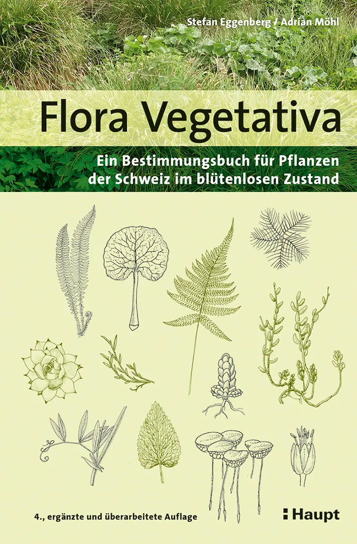 Front Cover Image Flora Vegetativa
