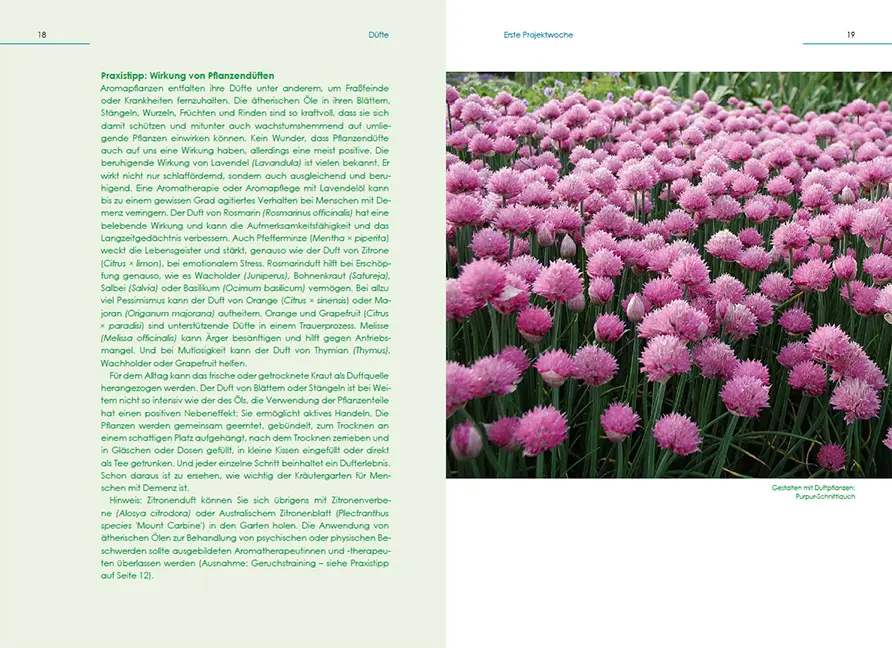 Sample Content (Image) Gartengestaltung für Menschen mit Demenz