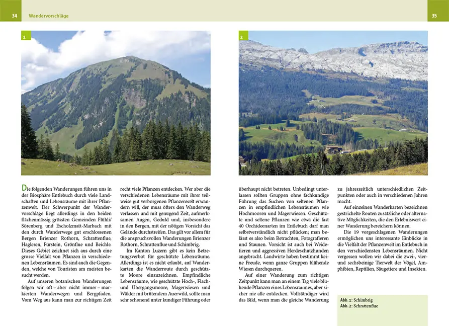 Sample Content (Image) Botanische Wanderungen in der UNESCO Biosphäre Entlebuch