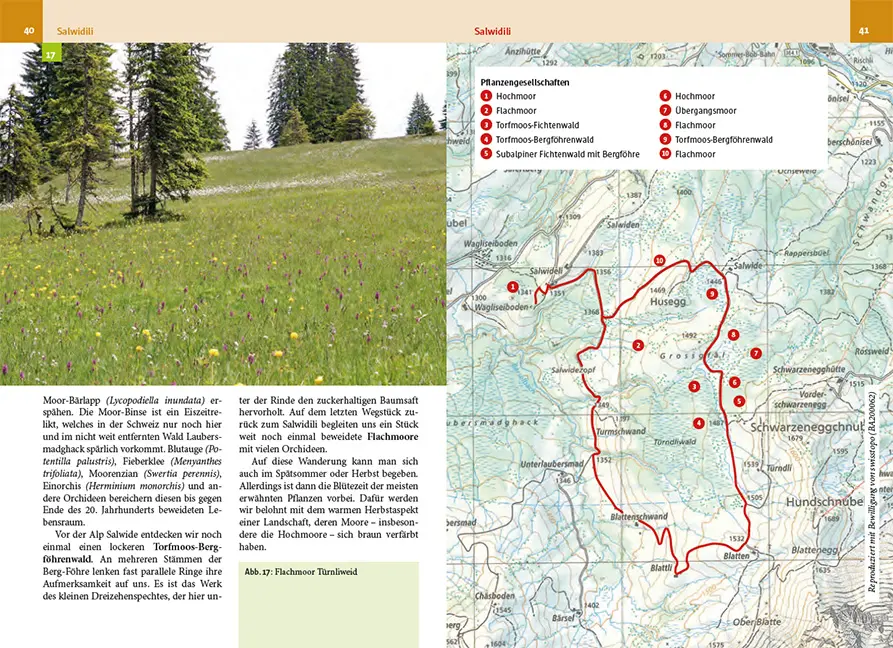 Sample Content (Image) Botanische Wanderungen in der UNESCO Biosphäre Entlebuch