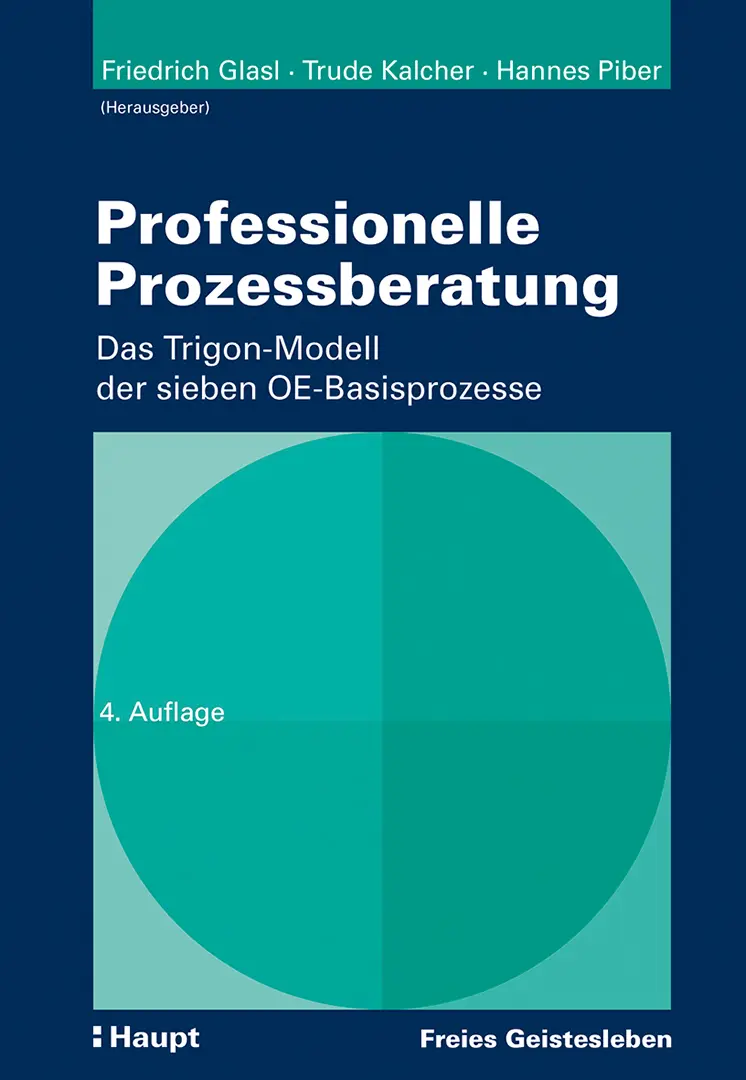 Front Cover Image Professionelle Prozessberatung