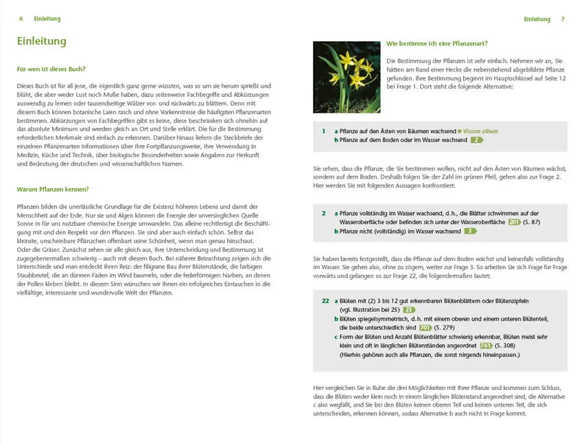 Sample Content (Image) Pflanzen einfach bestimmen