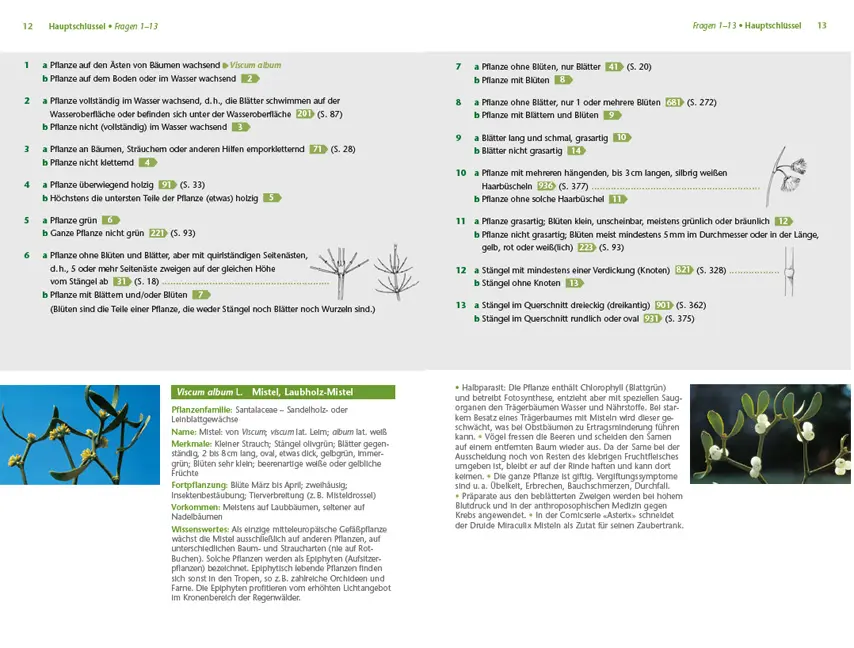 Sample Content (Image) Pflanzen einfach bestimmen