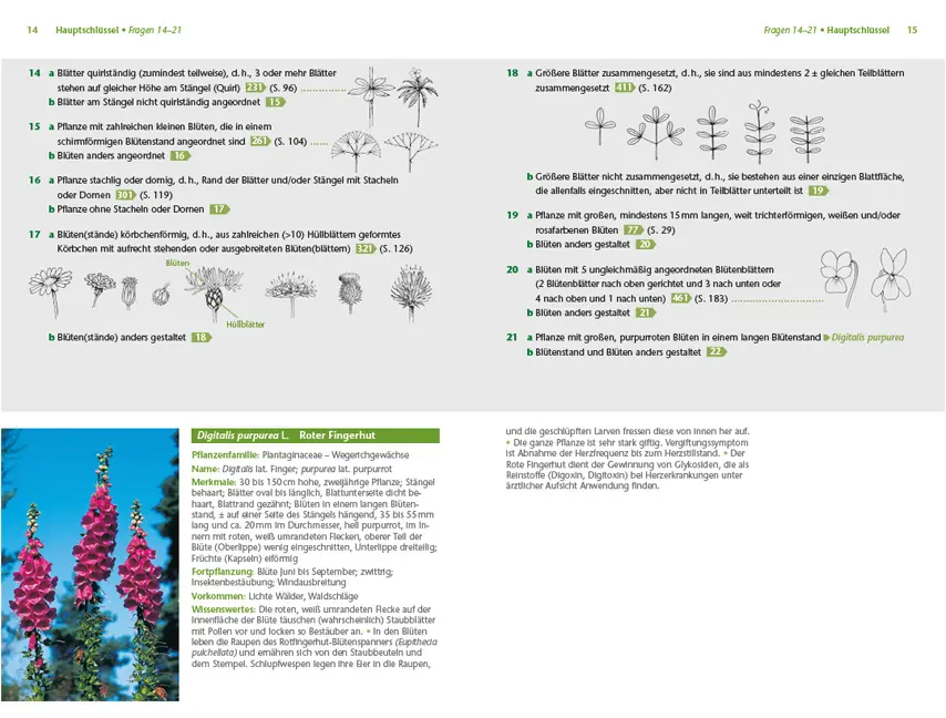 Sample Content (Image) Pflanzen einfach bestimmen