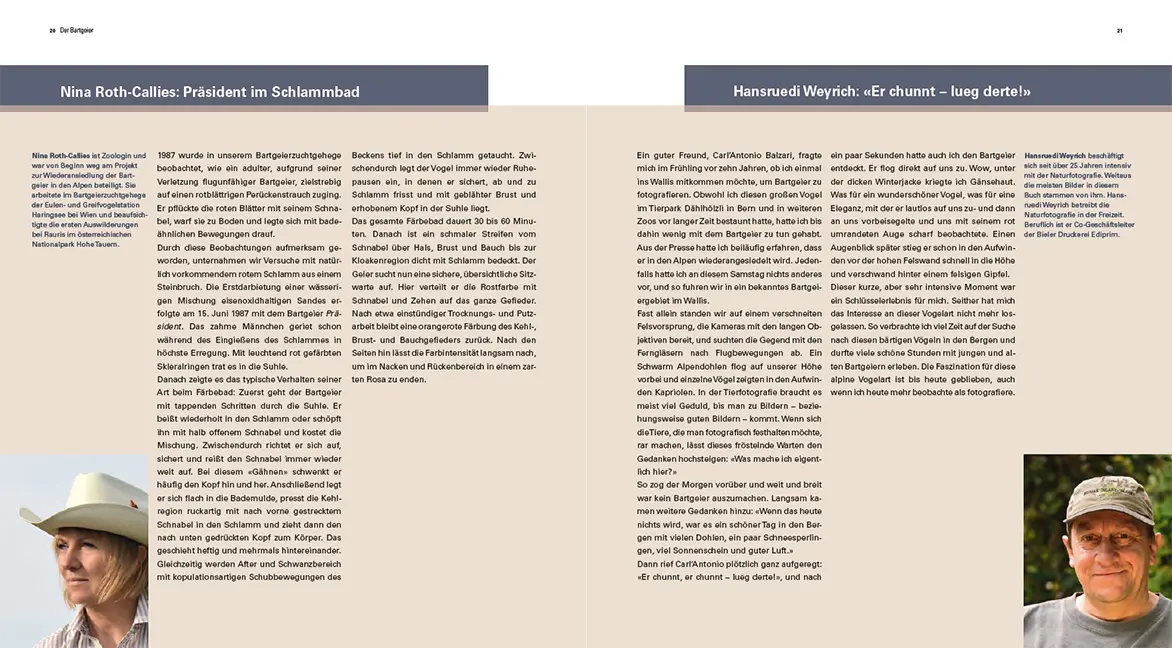 Sample Content (Image) Der Bartgeier