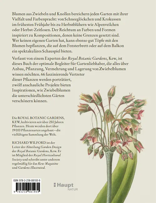 Back Cover Image Zwiebelpflanzen & Knollenblumen
