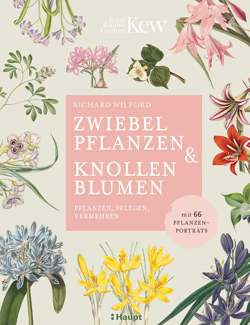 Front Cover Image Zwiebelpflanzen & Knollenblumen