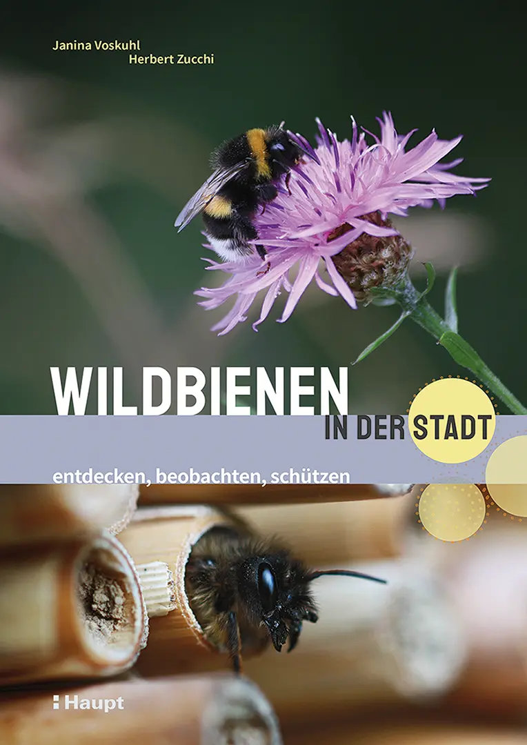 Front Cover Image Wildbienen in der Stadt